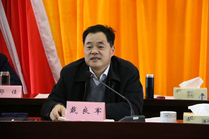 集團(tuán)黨委委員、副總經(jīng)理、總工程師戴良軍發(fā)表講話